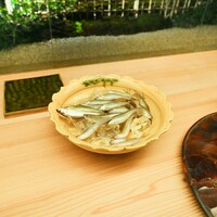 東山 緒方 - 琵琶湖もろこ