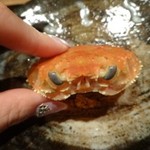 神楽坂 石かわ - 