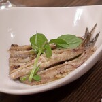 トリワイン ＰＩＫＯＳＨＨＨＵ - 自家製オイルサーディン