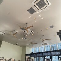 ジンジャーズビーチ - オシャンティな店内