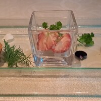 tcc GINZA - 見た目春っぽく素敵✨花びらやハーブが可愛いい♥️