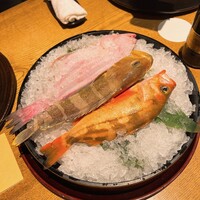 泉岳寺門前 紋屋 - 