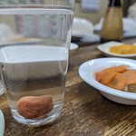 立ち呑 こひなた - 25°麦焼酎 田舎梅干入り