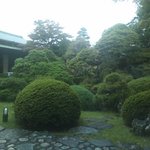 鶴亀鰻寮 - きれいな庭園