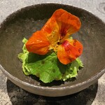 アニエルドール - 2.