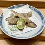Tsukiji Sushi Sei - 稚あゆ