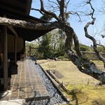 和食 花の茶屋 - 