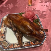 Szechwan Cuisine & Wine 四川料理 御馥 中之島ダイビル店 -  Szechwan Cuisine & Wine 四川料理 御馥 中之島ダイビル店 -