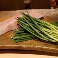 日本料理 山崎 - 富山湾の猫フグ（猫みたいに立派なトラフグ）です。浅葱と