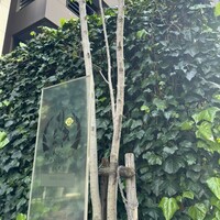 黒毛和牛ヘレ肉専門店 炭火焼肉 りきちゃん 北浜店 - 