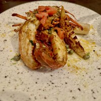 オッジ ダルマット 西麻布店 - 