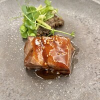 スプレンディード - 