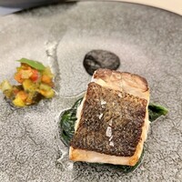 スプレンディード - 