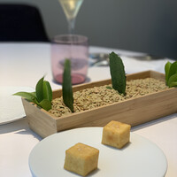 プレヴナンス - 