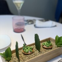 プレヴナンス - 