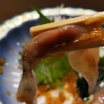 末広寿司 - ・富山県産ホタルイカのお刺身