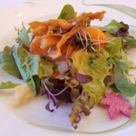 オースティン - 魚介と秋の味覚を使ったサラダマセドソース　アルバート邸の紅葉のにぎわい