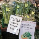 食の駅 - のろぼう菜、太い茎が甘味があると、ウイッキーより良さそう