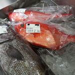 稲取漁港直売所こらっしぇ - 稲取キンメ,稲取漁港直売所こらっしぇ(東伊豆町稲取)TMGP撮影
