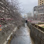カフェ・レッドブック - 本日は中目黒桜祭り…の筈ですが、桜は咲く気配すらなく、ピンクの灯籠だけが目立つ寒々とした日でした。