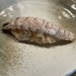 くずし寿司割烹 海月 - シャコ