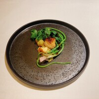 ヤマガタ サンダンデロ - 