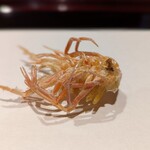 天ぷら たけうち - 