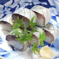 〈師崎〉鯖寿司
