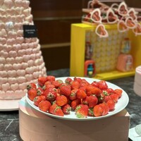 ロビーラウンジ 「マーブルラウンジ」 ヒルトン東京 - 