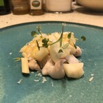 eos - 愛知烏賊　山うど　日向夏