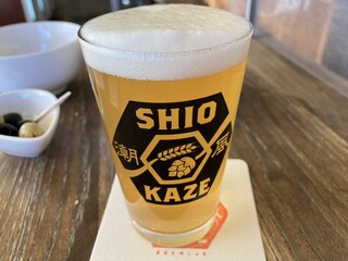 SHIOKAZE BREWSTAND - Tomorrow Never Comes (Hazy IPA)