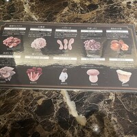 Shangri-La's secret ROPPONGI - 