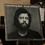 Tarji - Bruce Cockburn/In the Falling Dark