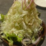 Kushiyakitei Negi - ねぎサラダ
