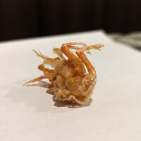 天白 - 