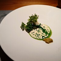 Metis 六本木 - 
