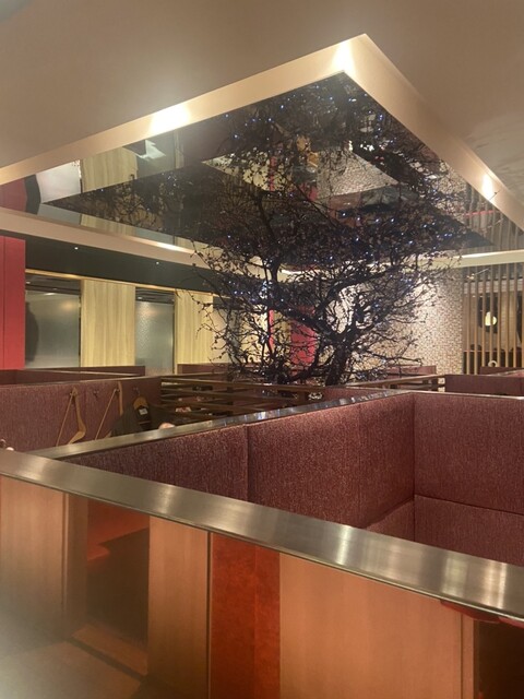 Private rooms Dining Umeko no Ie Yurakucho Ekimae Ten Ginza photo 4