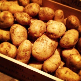 旬の素材が持つ味を生かした料理が多いのも特徴です♪