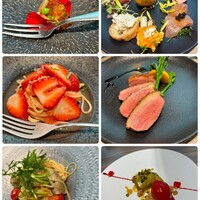 ダルマット 六本木ヒルズ店 - 