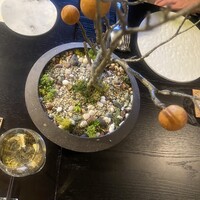 イノベーティブ フレンチ ワタハン - 