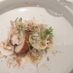 ピアッティ カステリーナ - 