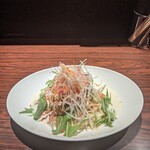 Shirunashi Tantammen Kenkyuujo - 汁なし担々麺 サイ
