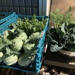 BARU 竹末 - 竹末朝市(野菜詰め放題)