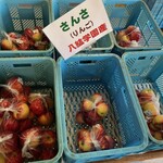 八紘学園 農産物直売所 - 【2023年09月】りんご販売中。