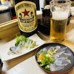 名古屋の立ち呑み 大安 - サヨリとカワハギの刺身