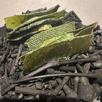 ル スプートニク - 