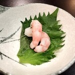 湯島天神下 すし初 - 甘海老