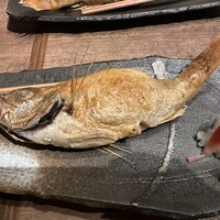 のどぐろの中俣 新橋 - 
