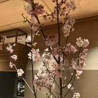 鮨トキドキ串 海老虎 - 