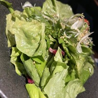赤羽 友星 - 